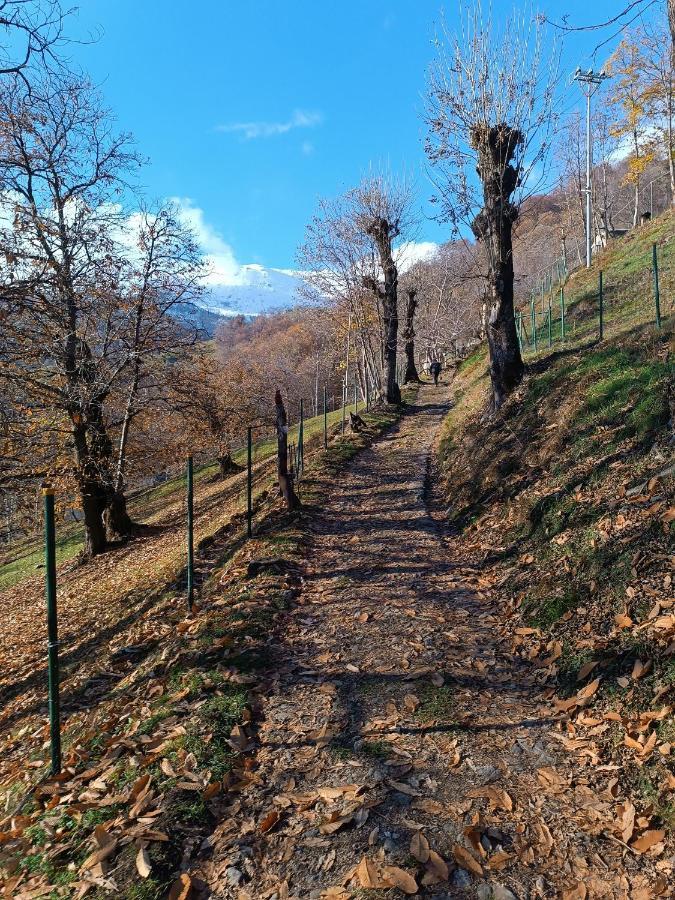 BBB Bed&Breakfast Bagneri Muzzano Exterior foto